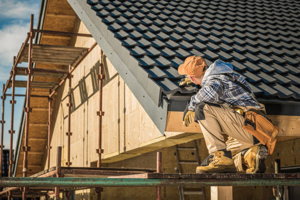 Best Roof Gutter Cleaning  in Eustis, FL