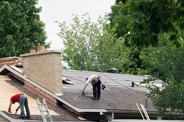 Roof Gutter Cleaning in Eustis, FL