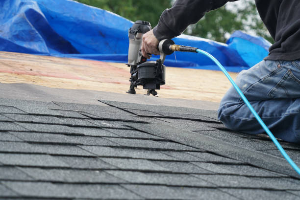 Best Residential Roof Replacement  in Eustis, FL